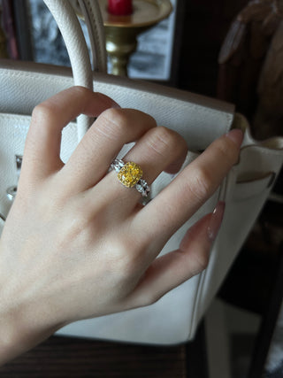 Radiant Sunshine Series, Golden Harmony Yellow Diamond Spinner S925 Pure Silver Gilded Ring with 5A Zirconia